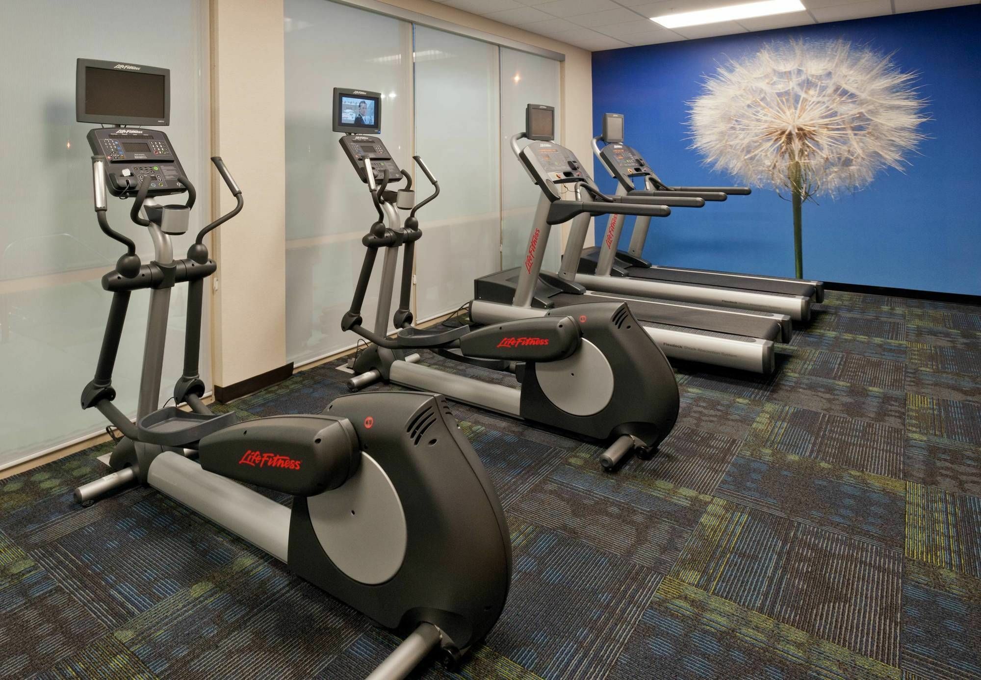 Springhill Suites By Marriott Lafayette South At River Ranch Dış mekan fotoğraf